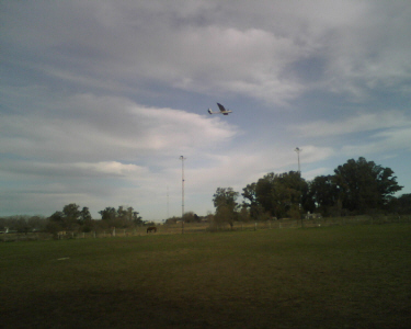 IMG01751.jpg (179970 bytes)